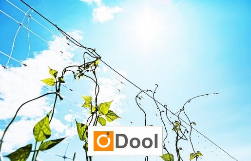   Dool - Ogrodzenie rabat - Siatka z tworzywa o małych oczkach do zabezpieczenia roślin i grządek przed uszkodzeniem 